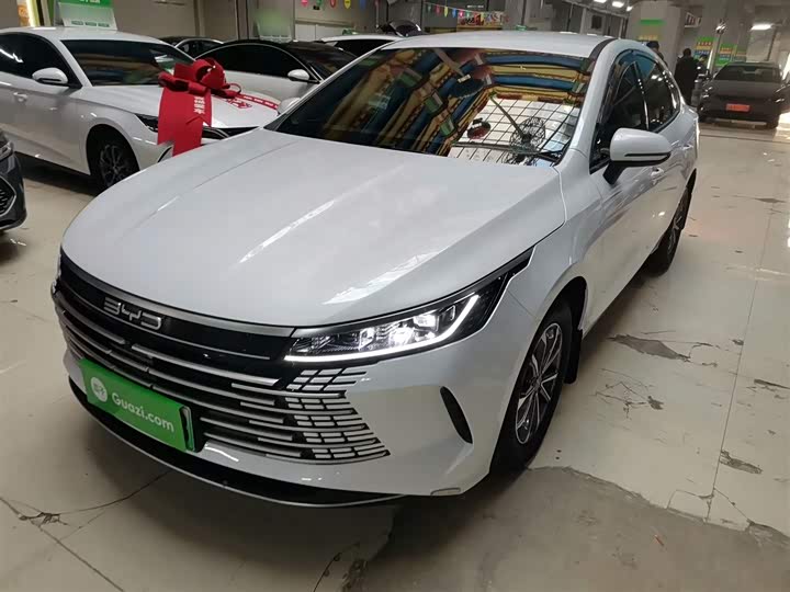 Фото 2 - BYD Destroyer 05