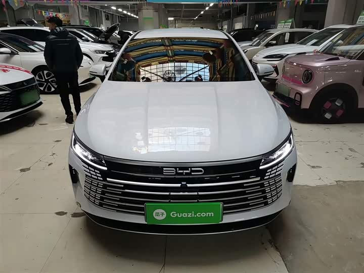 Фото 3 - BYD Destroyer 05