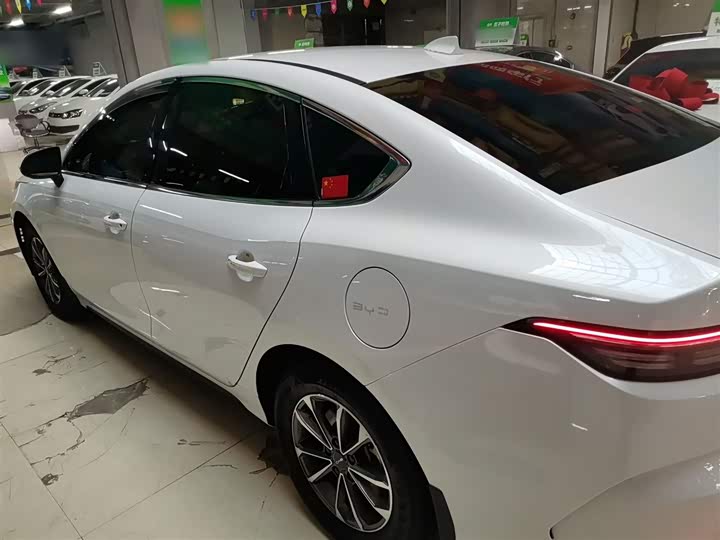 Фото 5 - BYD Destroyer 05