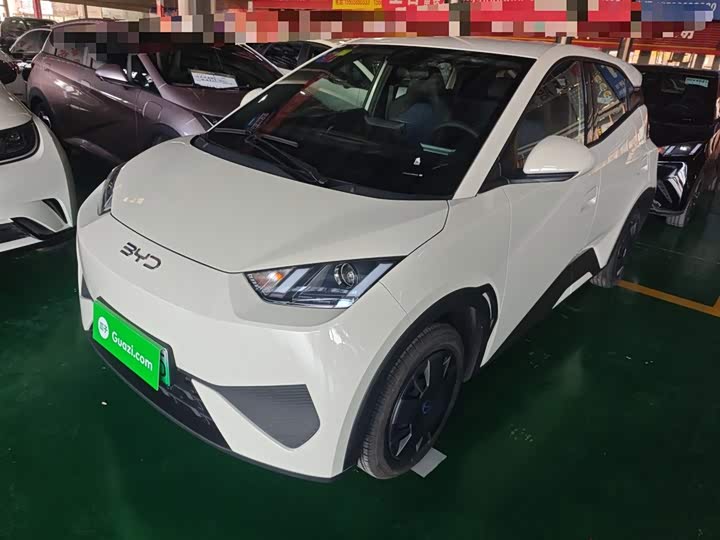 Фото 2 - BYD Seagull