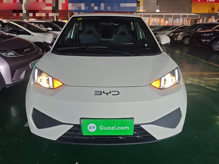 Фото 3 - BYD Seagull