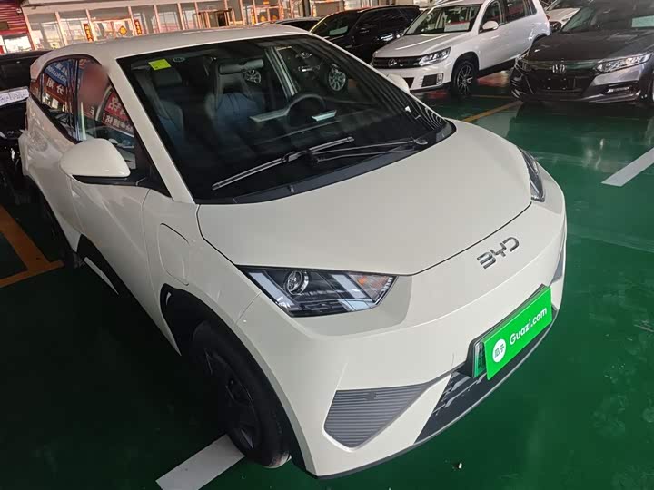 Фото 4 - BYD Seagull