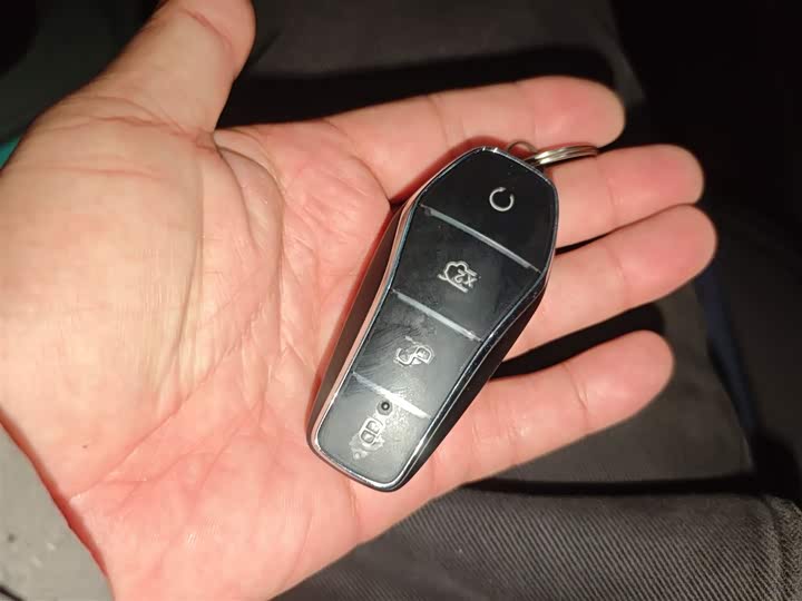 Фото 9 - BYD Seagull