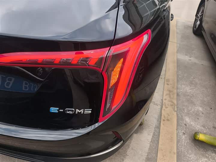 Фото 8 - Hongqi E-QM5