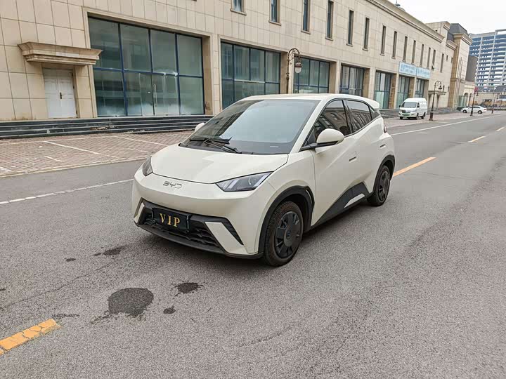 Фото 1 - BYD Seagull