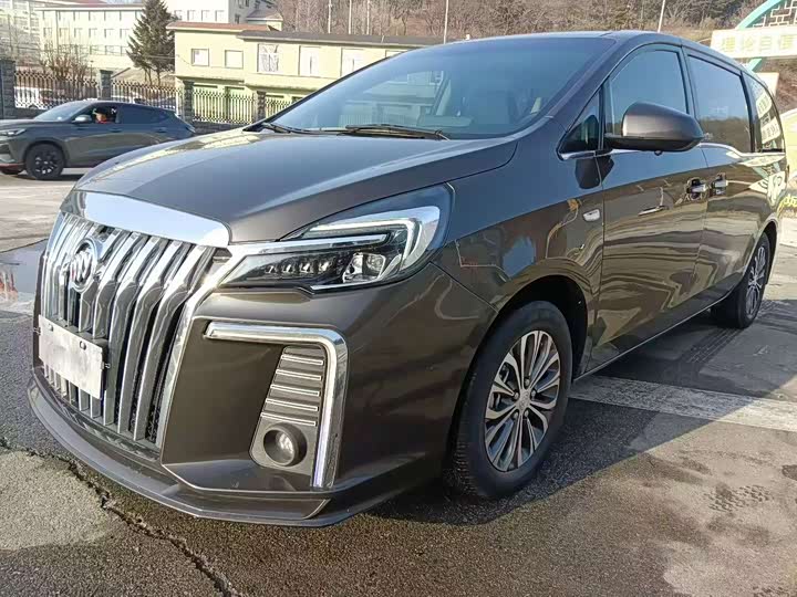 Фото 1 - Buick GL8 ES