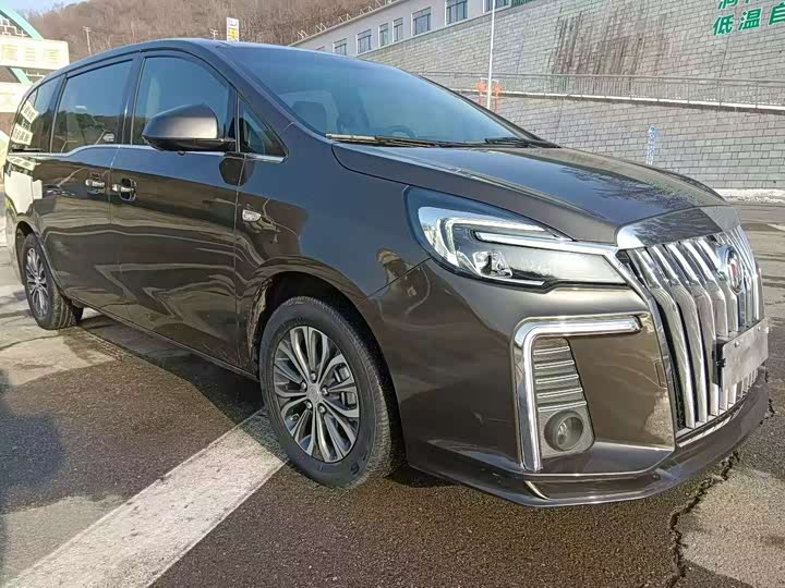 Фото 3 - Buick GL8 ES