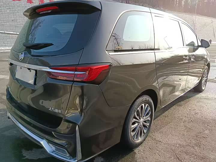 Фото 5 - Buick GL8 ES