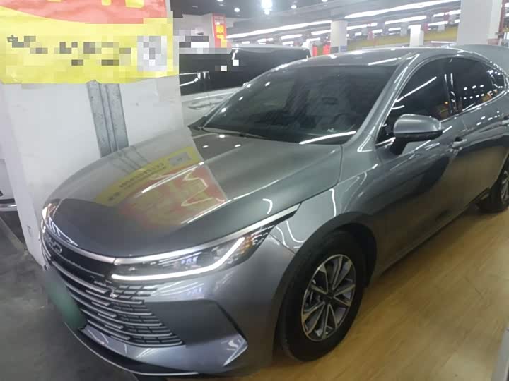 Фото 2 - BYD Destroyer 05