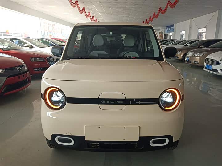 Фото 3 - Geely Galaxy Panda Mini