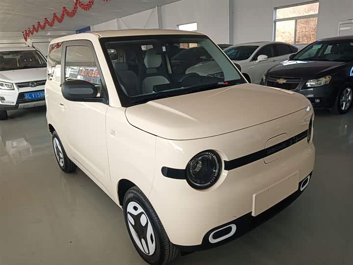 Фото 4 - Geely Galaxy Panda Mini