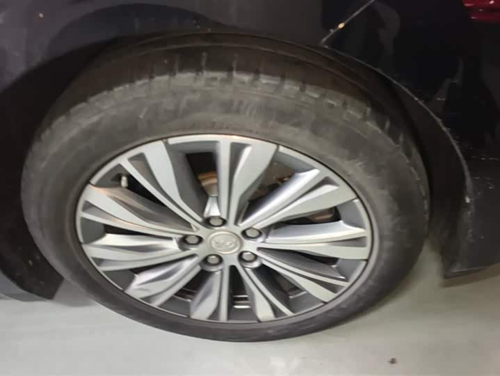 Фото 6 - Hongqi E-QM5