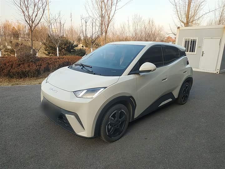 Фото 1 - BYD Seagull