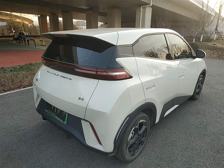 Фото 7 - BYD Seagull