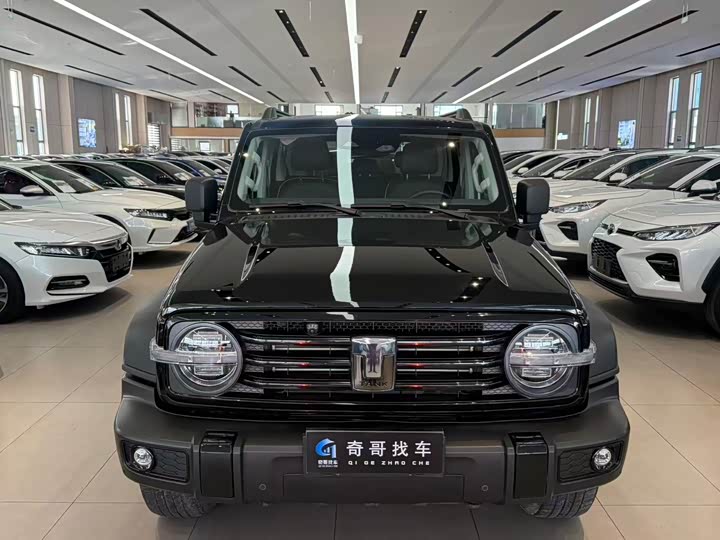 Фото 2 - Tank 300