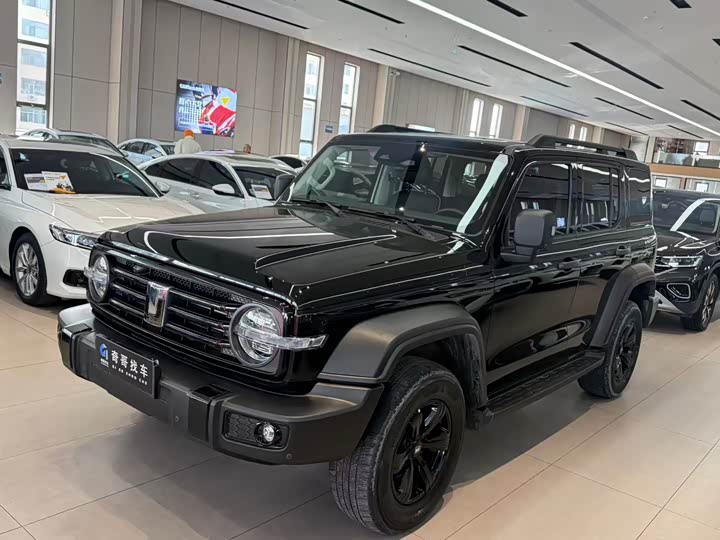 Фото 3 - Tank 300