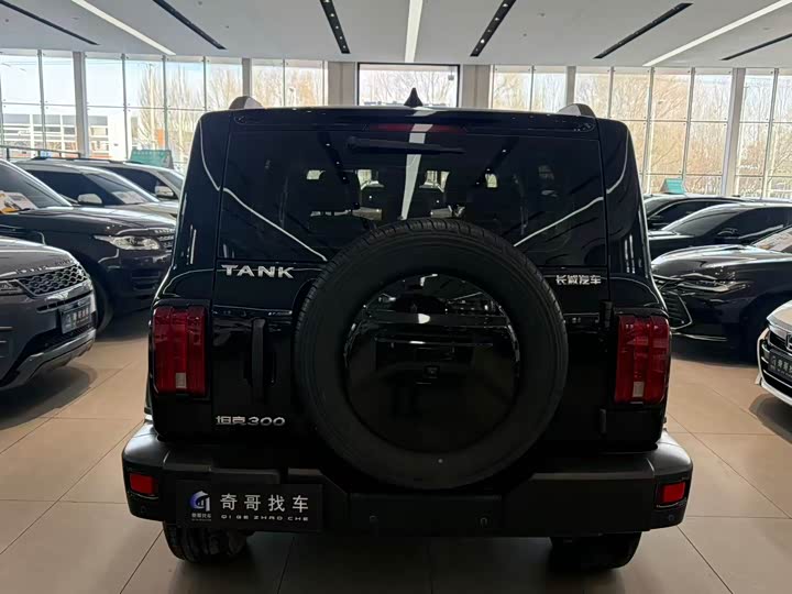 Фото 4 - Tank 300