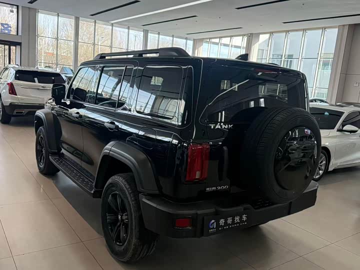 Фото 5 - Tank 300