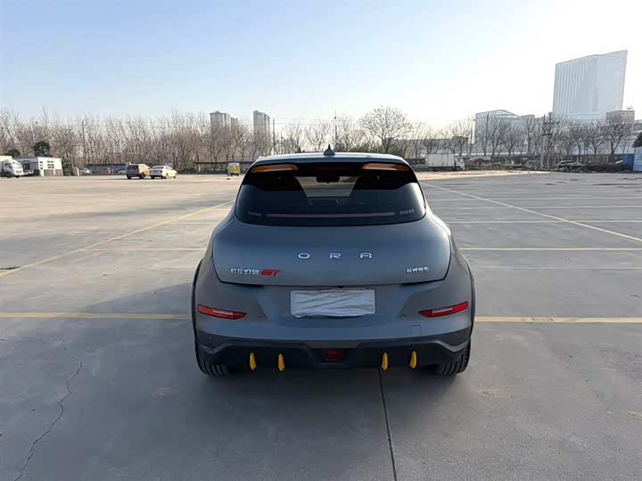 Фото 8 - Ora Good Cat GT (03 GT)