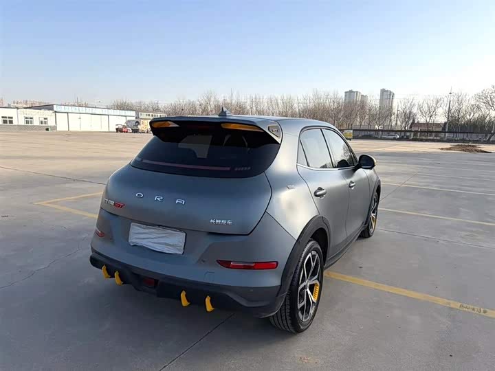 Фото 9 - Ora Good Cat GT (03 GT)