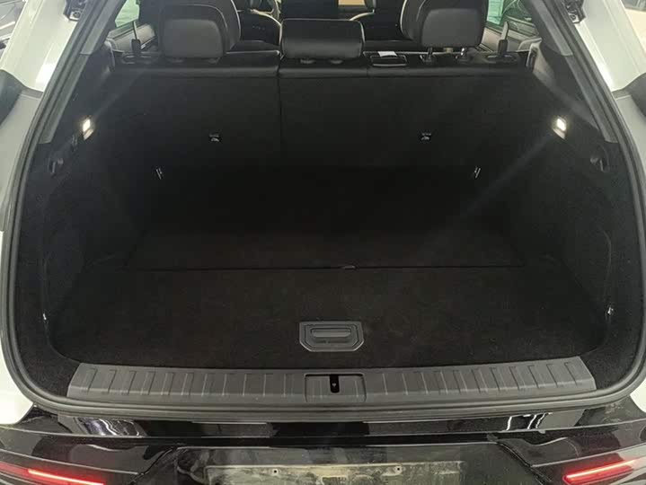 Фото 4 - Zeekr 7X