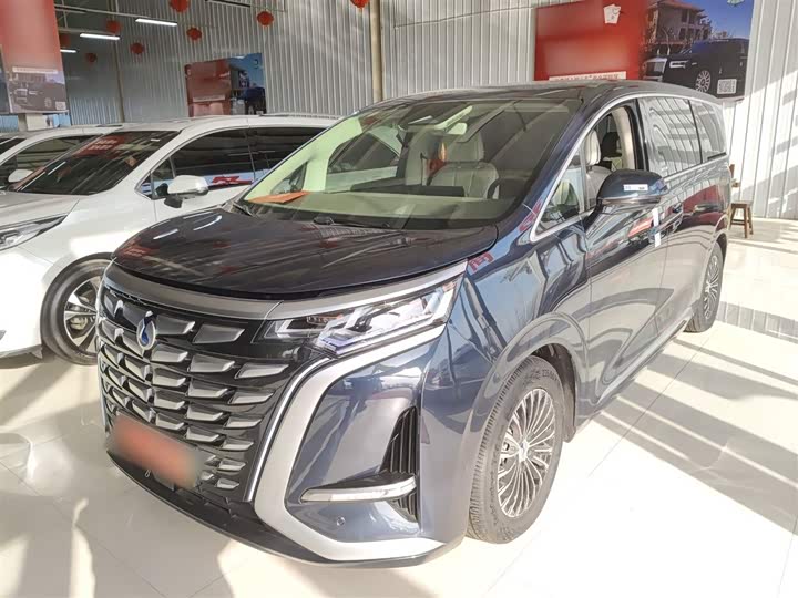 Фото 1 - Denza D9