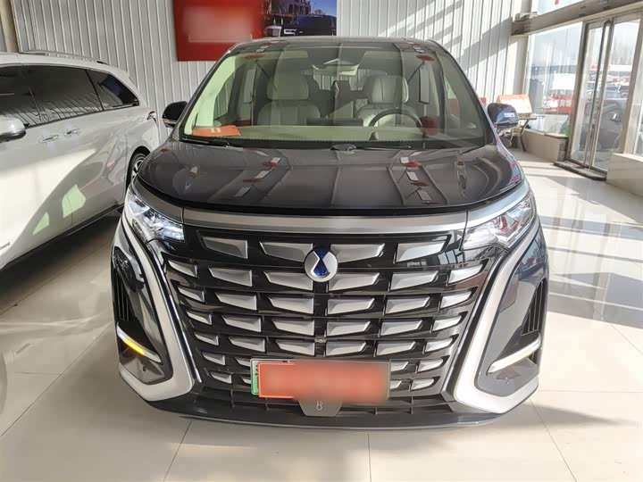 Фото 3 - Denza D9