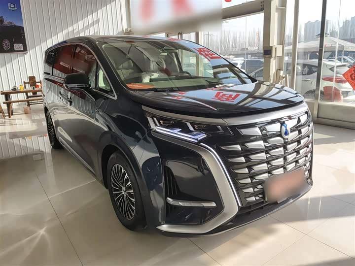 Фото 4 - Denza D9