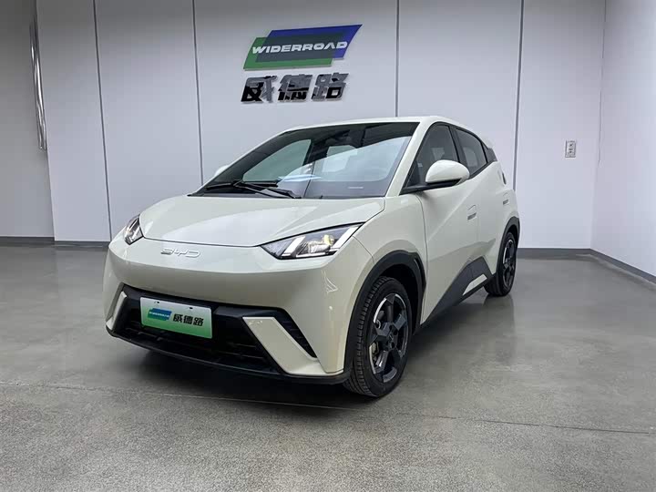 Фото 1 - BYD Seagull