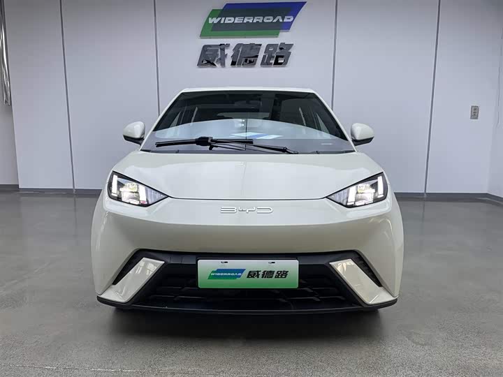 Фото 2 - BYD Seagull