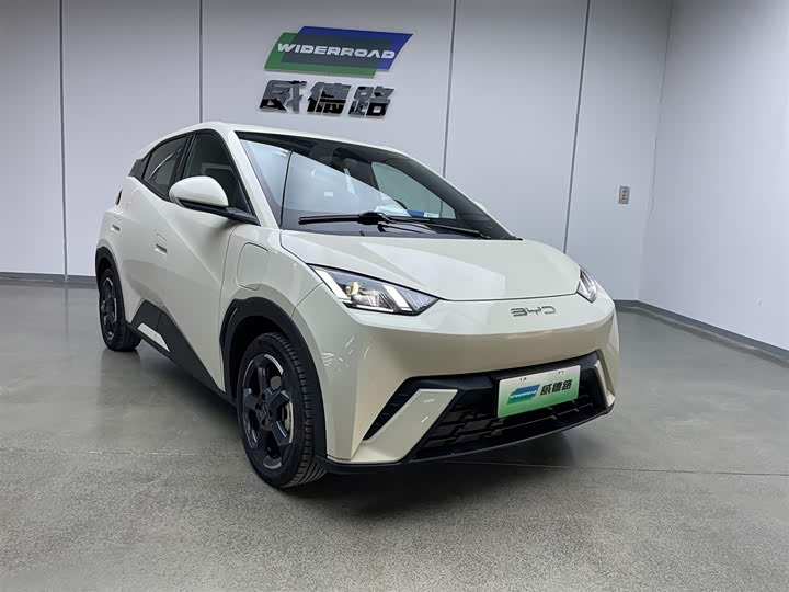 Фото 3 - BYD Seagull