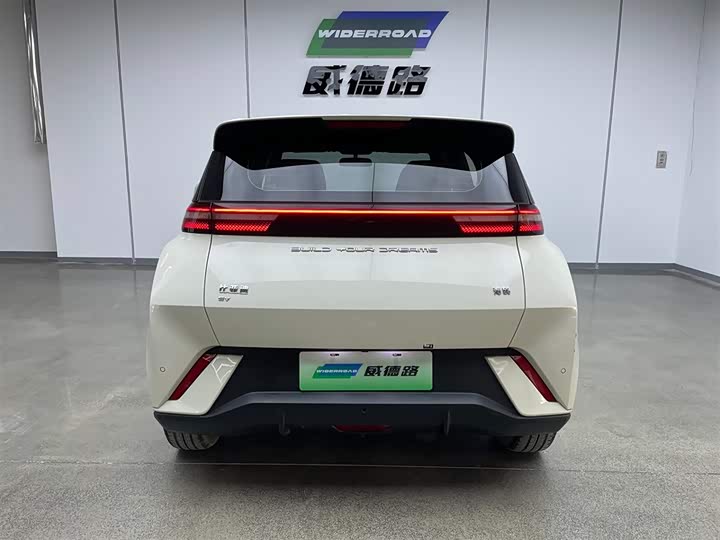 Фото 4 - BYD Seagull