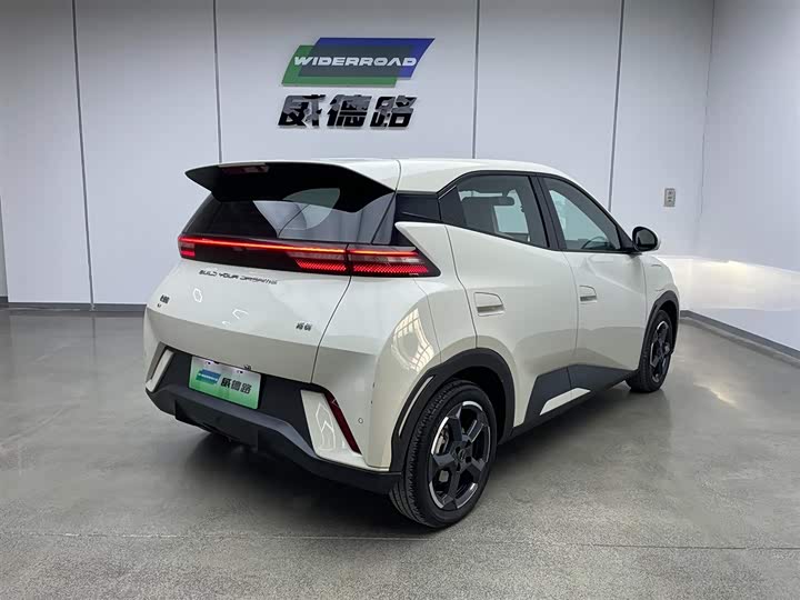 Фото 5 - BYD Seagull