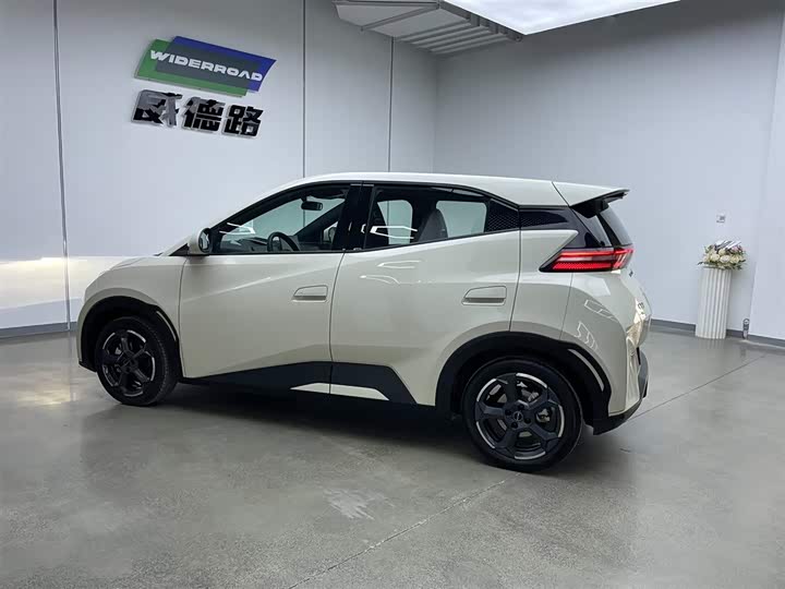 Фото 7 - BYD Seagull