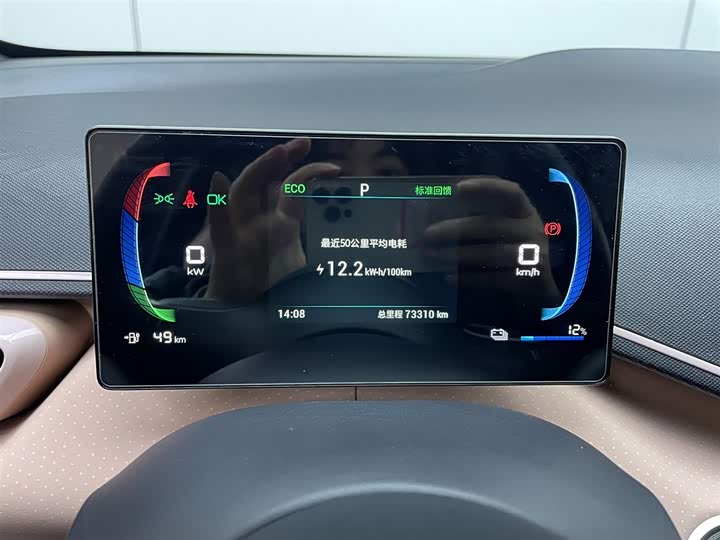 Фото 8 - BYD Seagull