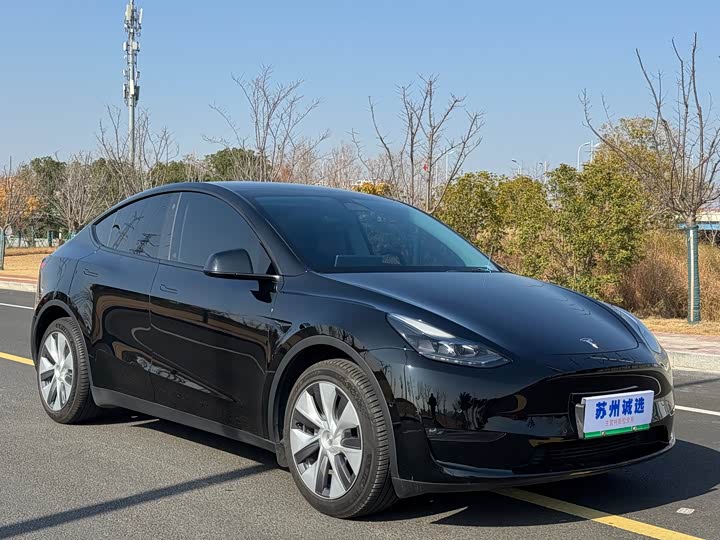 Фото 2 - Tesla Model Y