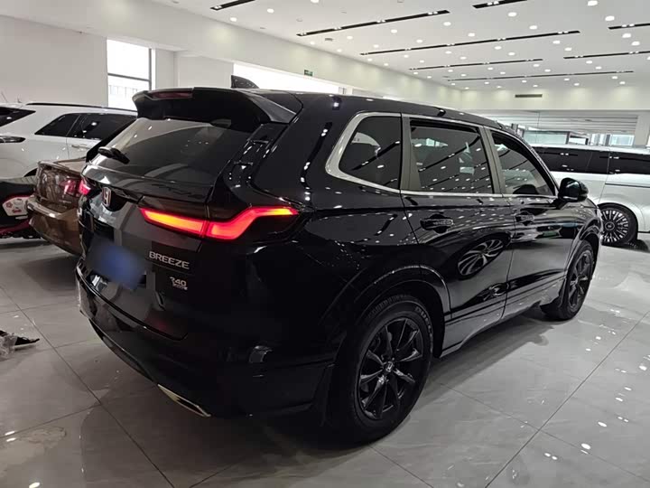 Фото 7 - Honda Breeze