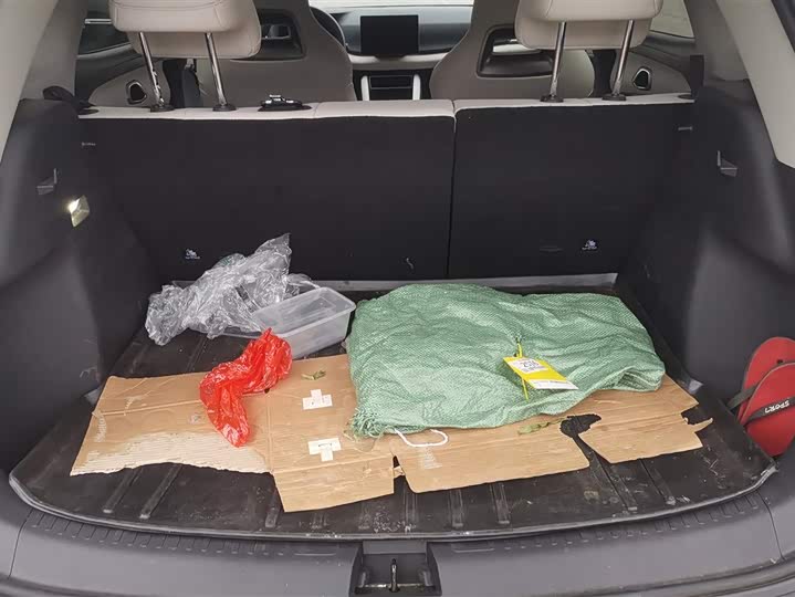 Фото 4 - BYD Yuan Up