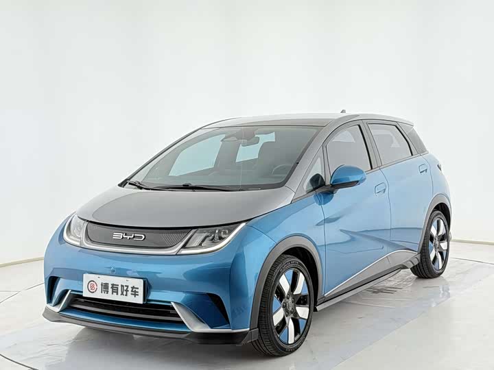 Фото 1 - BYD Dolphin