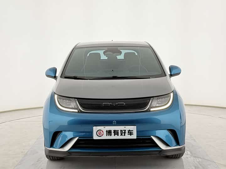 Фото 2 - BYD Dolphin