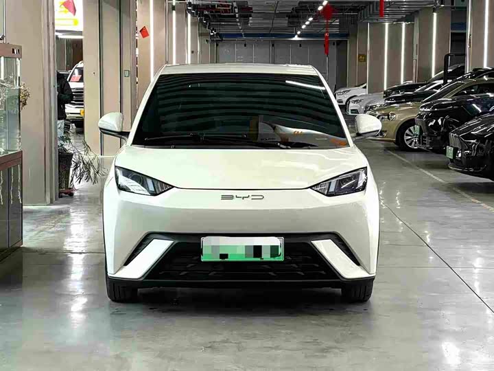 Фото 2 - BYD Seagull