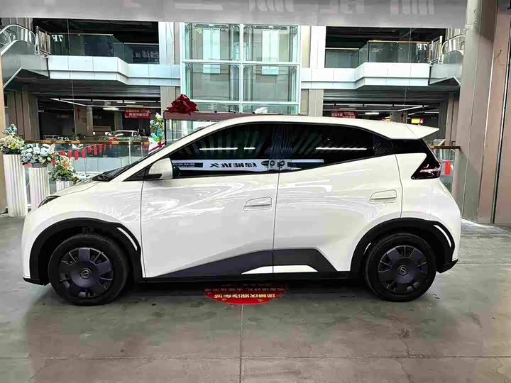 Фото 7 - BYD Seagull