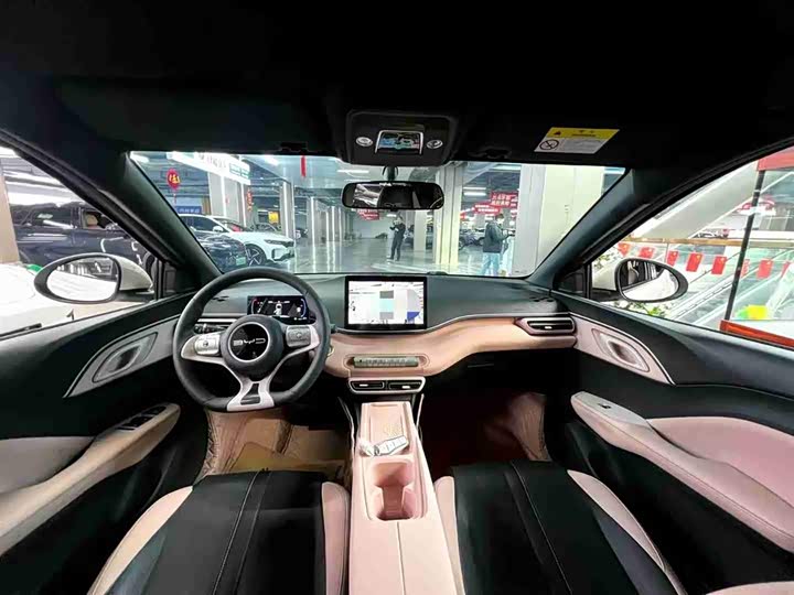 Фото 9 - BYD Seagull