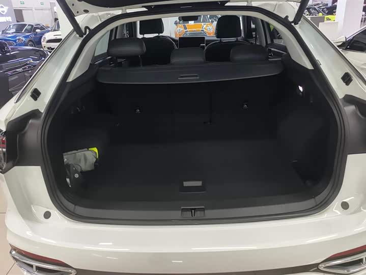 Фото 4 - Volkswagen Tayron X