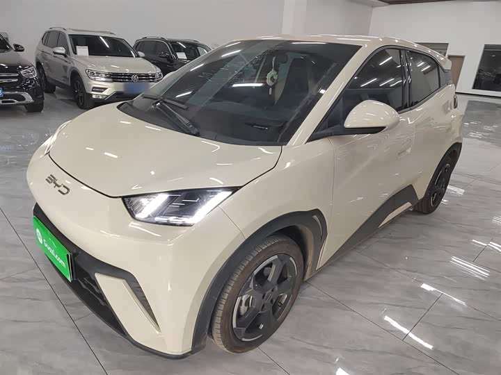 Фото 1 - BYD Seagull