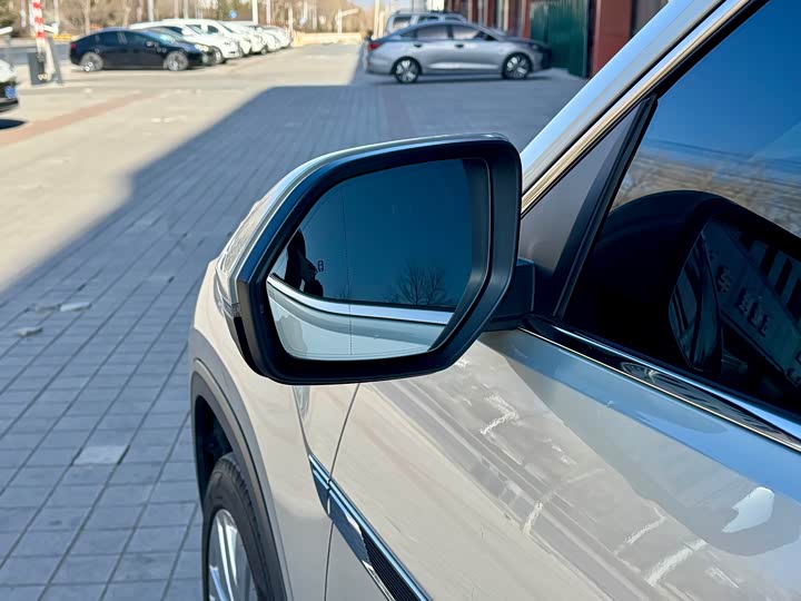 Фото 9 - Volkswagen Teramont Pro