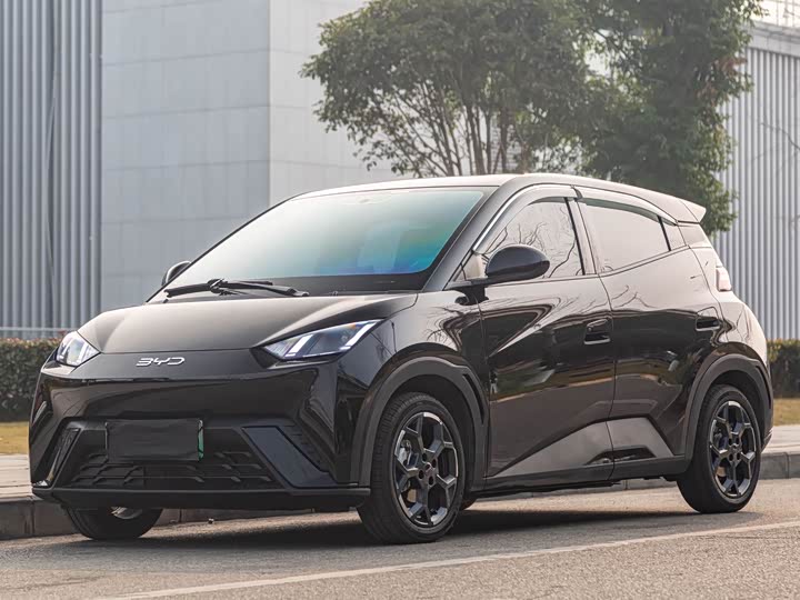 Фото 1 - BYD Seagull