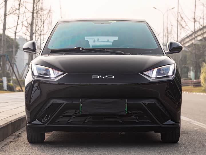 Фото 2 - BYD Seagull