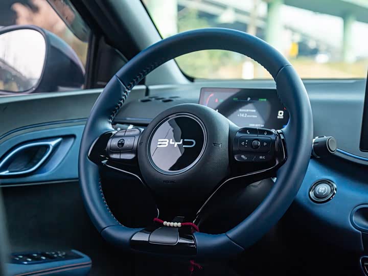 Фото 6 - BYD Seagull