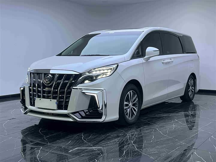 Фото 1 - Buick GL8 ES